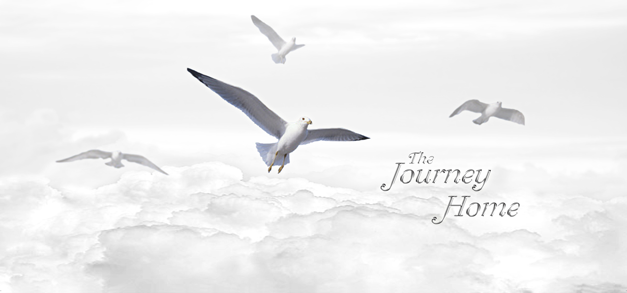 Journey Home Clouds White Silver